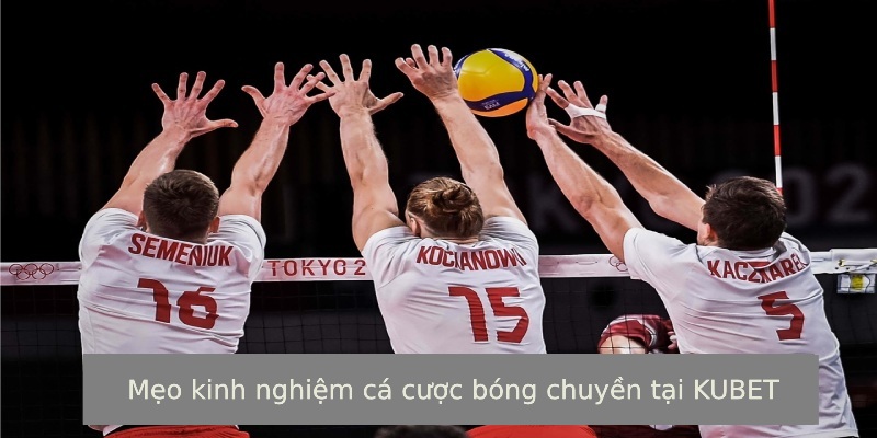 Mẹo hay khi chơi cá độ Volleyball để gia tăng lợi nhuận